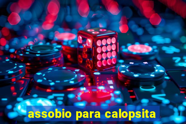 assobio para calopsita